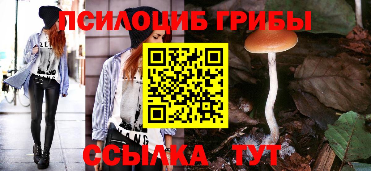 Псилоцибиновые грибы прущие грибы  Псилоцибиновые грибы MAGIC MUSHROOMS  Калач-на-Дону  Вход с VPN 